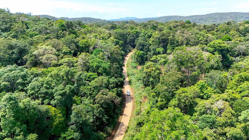 Với gần 650 ngàn ha đất có rừng, Gia Lai giàu tiềm năng phát triển thị trường tín chỉ carbon rừng. Ảnh: Bi Ly