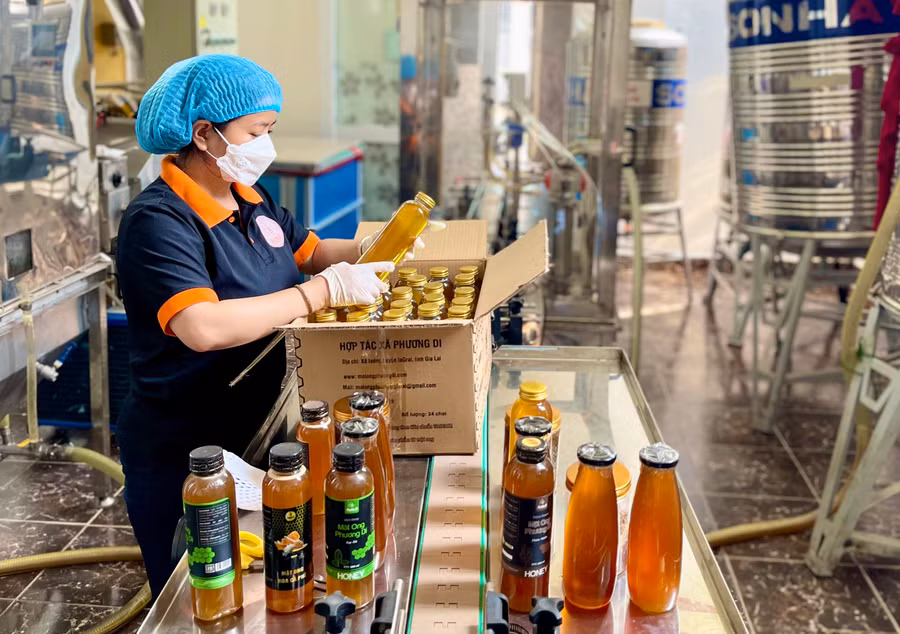 Các sản phẩm mật ong của Gia Lai ngày càng được thị trường nước ngoài ưa chuộng nhưng việc xuất khẩu đều phải thông qua bên thứ ba. Ảnh: Vũ Thảo