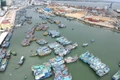 Quang cảnh các tàu cá neo đậu san sát tại Cảng cá Quy Nhơn, phường Quy Nhơn vào giữa tháng 3 năm 2026.