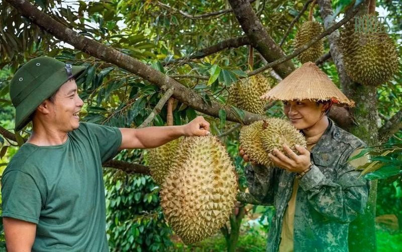 sau-rieng-viet-nam-chiem-57-thi-phan-trung-quoc-anh.jpg
