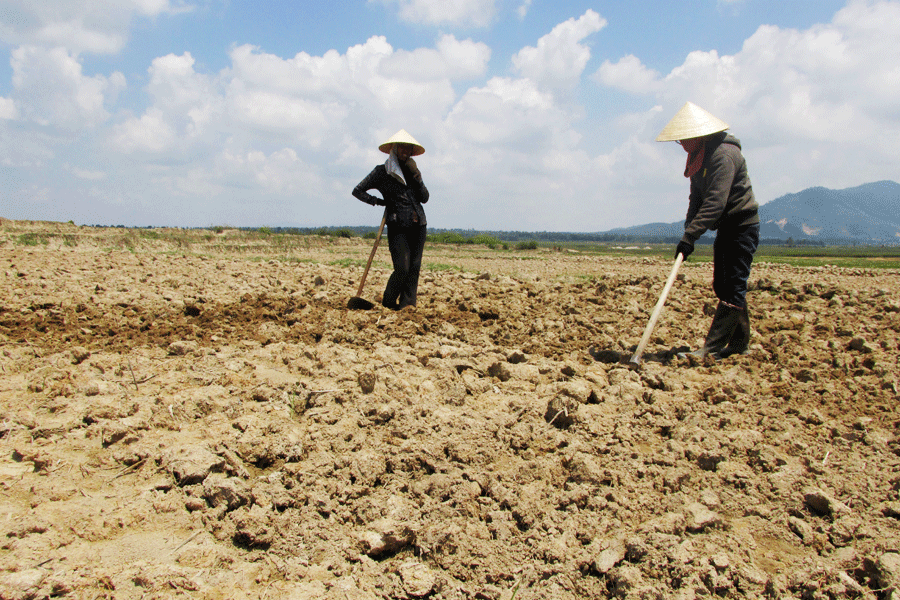 Mẹ con nhà chị Pyưk cuốc đất sẵn, chỉ chờ nước về để sạ lúa. Ảnh: Ngọc Ánh