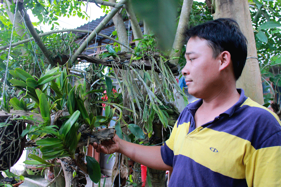 Anh Lâm với giống lan rừng Hoàng Nhạn mà mình đang dốc sức bảo tồn. Ảnh: Hồng Thi