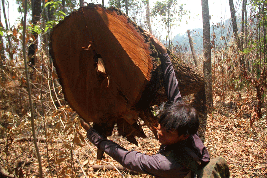 Ảnh: V.N Ảnh: V.N