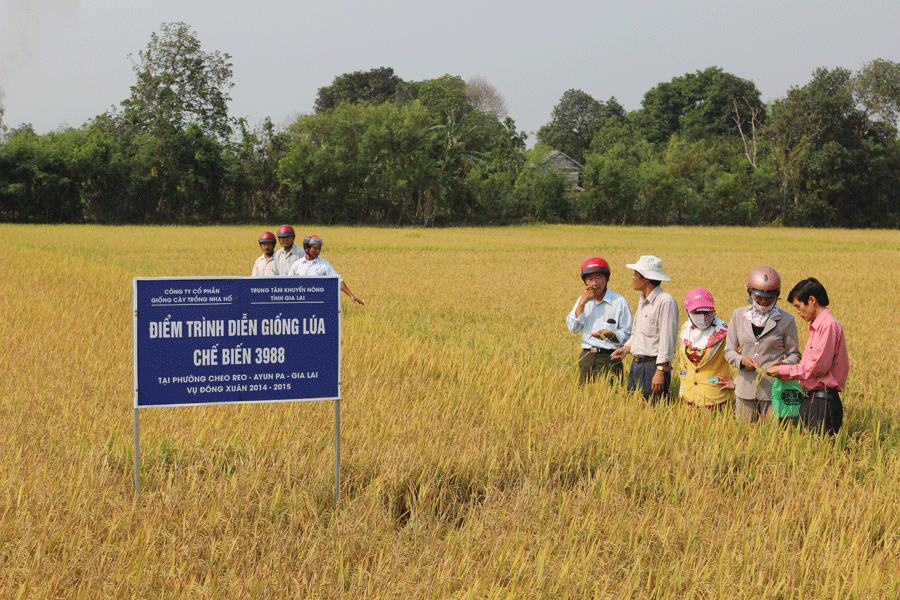 Ảnh: Nguyễn Diệp