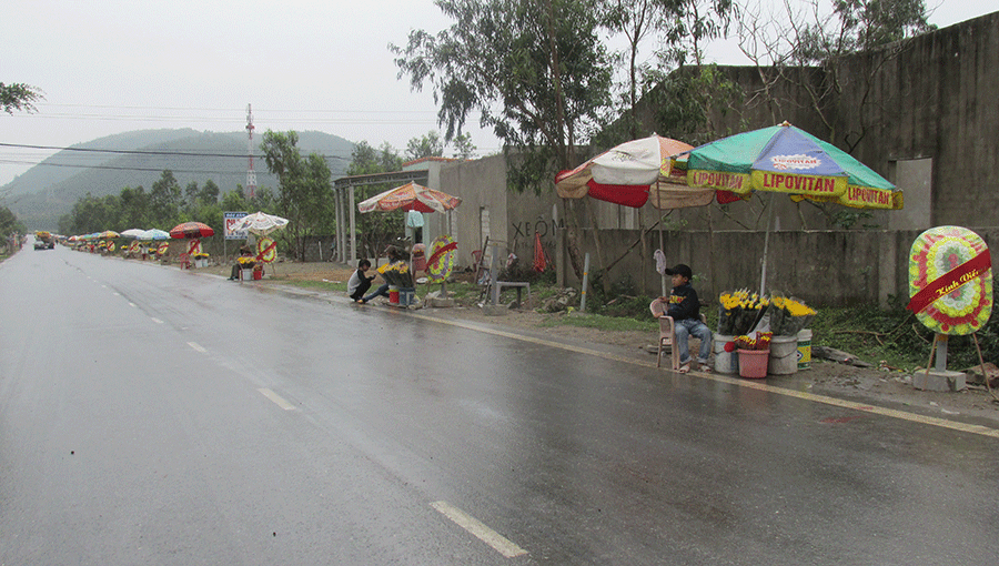 Những bó cúc rực rỡ sắc màu trên đường vào mộ Đại tướng Những bó cúc rực rỡ sắc màu trên đường vào mộ Đại tướng