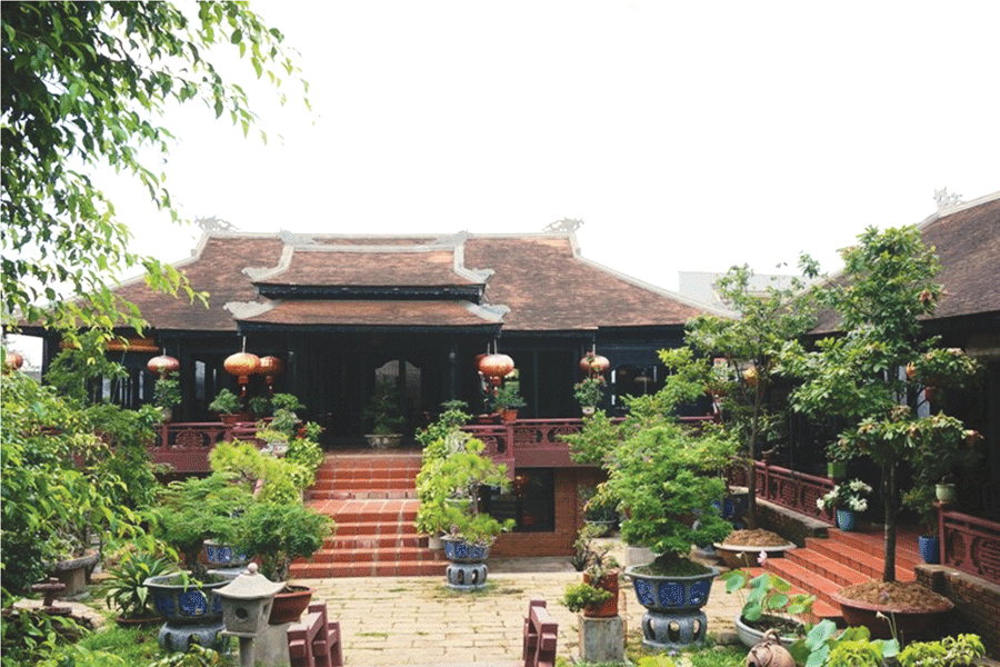 Trà Cung Đình 3. Ảnh: Linh Hoàng Trà Cung Đình 3. Ảnh: Linh Hoàng