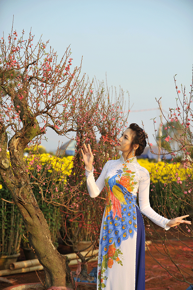 Hải Vân duyên dáng bên cành đào nở rộ. Ảnh: Nguyễn Giác  Hải Vân duyên dáng bên cành đào nở rộ