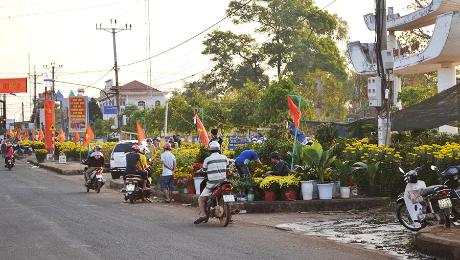 Chợ hoa chỉ hơn chục lô bày bán nhưng khách tới xem và mua khá thưa thớt. Chợ hoa chỉ hơn chục lô bày bán nhưng khách tới xem và mua khá thưa thớt.