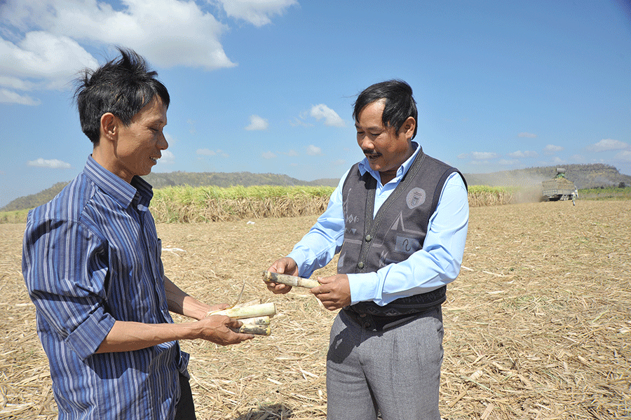 Lão nông Mạnh (bên trái) được kỹ sư SEC hỗ trợ về chuyên môn tại ruộng mía Lão nông Mạnh (bên trái) được kỹ sư SEC hỗ trợ về chuyên môn tại ruộng mía