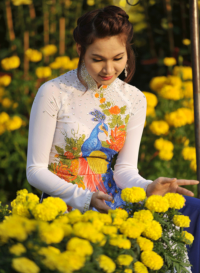 Bông vạn thọ thu hút nhiều người mua. Ảnh: Nguyễn Giác Bông vạn thọ thu hút nhiều người mua