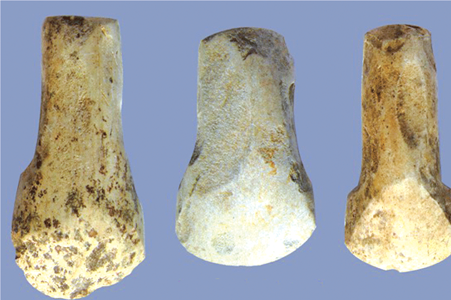 Bôn hình răng trâu Kbang.