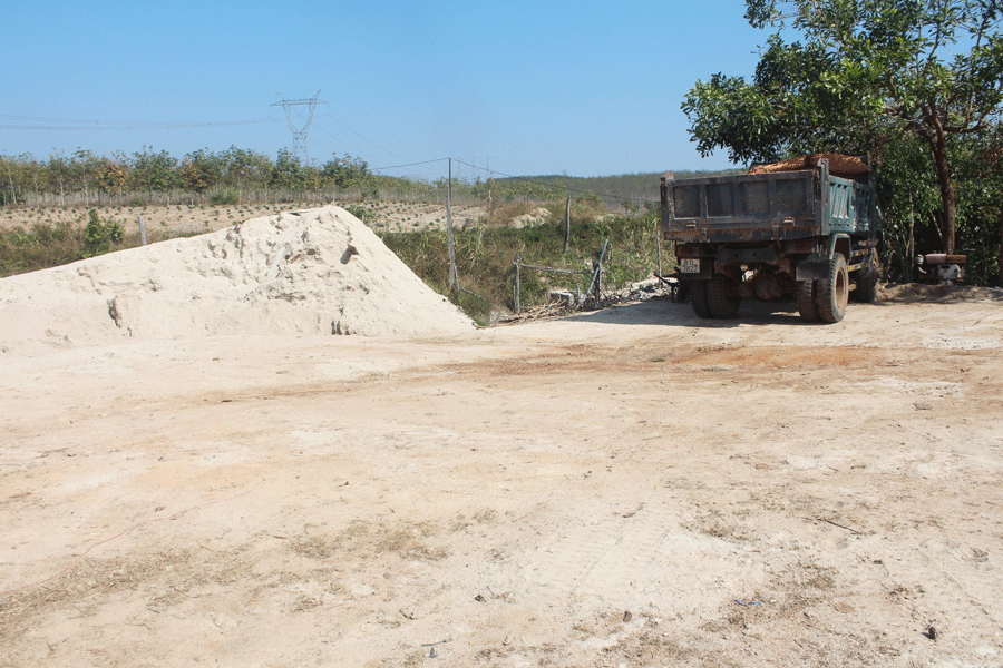 Ảnh: Trần Đức Ảnh: Trần Đức