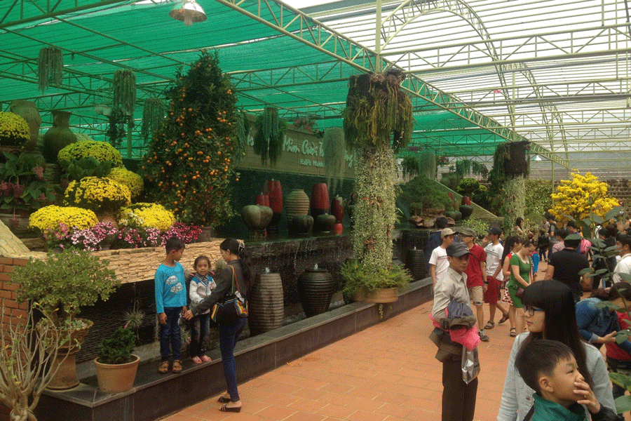 Không gian thoáng mát của Vườn bách thảo khiến nhiều du khách thích thú. Không gian thoáng mát của Vườn bách thảo khiến nhiều du khách thích thú.