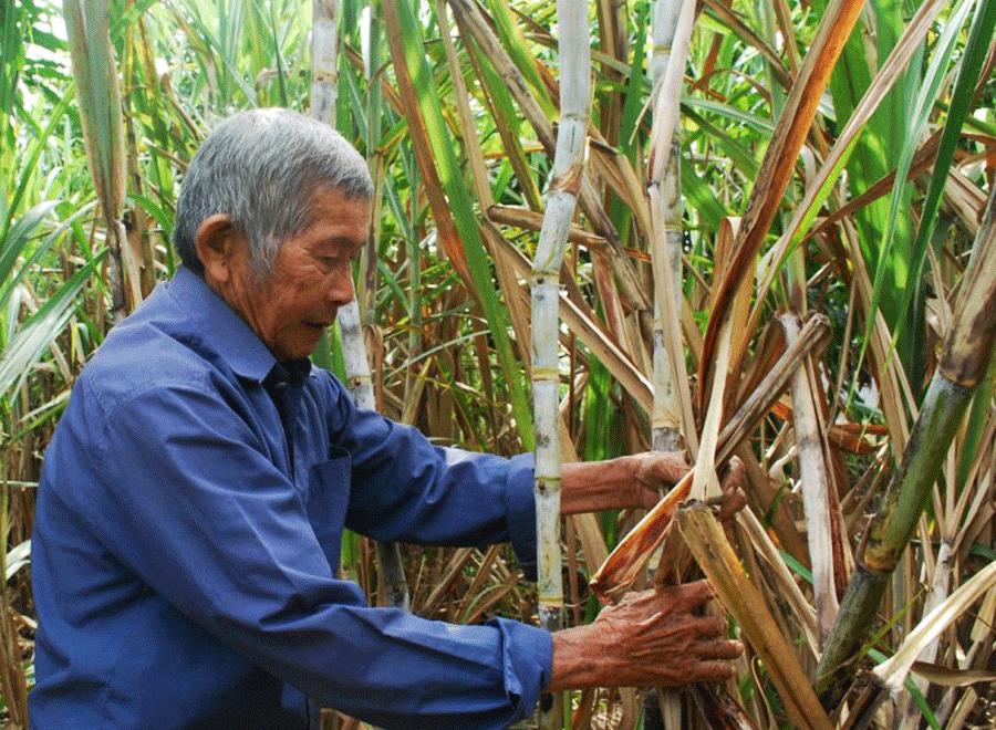 Ảnh: Nguyễn Tú Ảnh: Nguyễn Tú