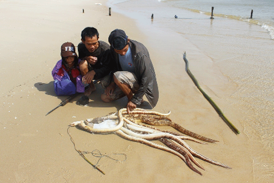 Anh Trần Văn Hải và Bùi Văn Thêm bên những con cá chình vừa săn được. Ảnh: A.N