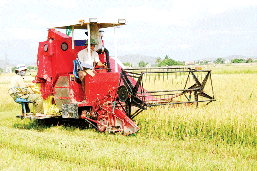 Ảnh: Đức Thụy Ảnh: Đức Thụy