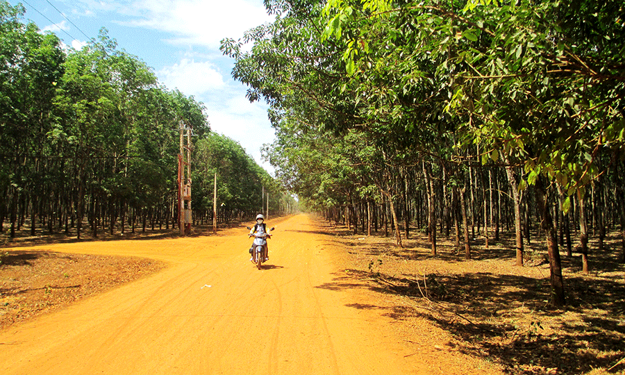 Con đường dài khoảng 6 km từ trung tâm xã đến các thôn, làng vẫn chưa được đầu tư vốn để thực hiện nhựa hóa, bê tông hóa. Ảnh: Quang Tấn  Con đường dài khoảng 6 km từ trung tâm xã đến các thôn, làng vẫn chưa được đầu tư vốn để thực hiện nhựa hóa, bê tông hóa. Ảnh: Quang Tấn