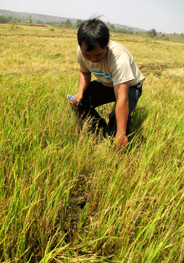 Ảnh: Quang Tấn Ảnh: Quang Tấn