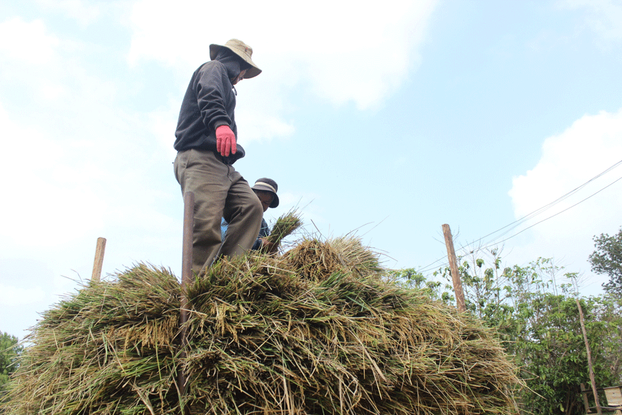 Ảnh: Phương Linh