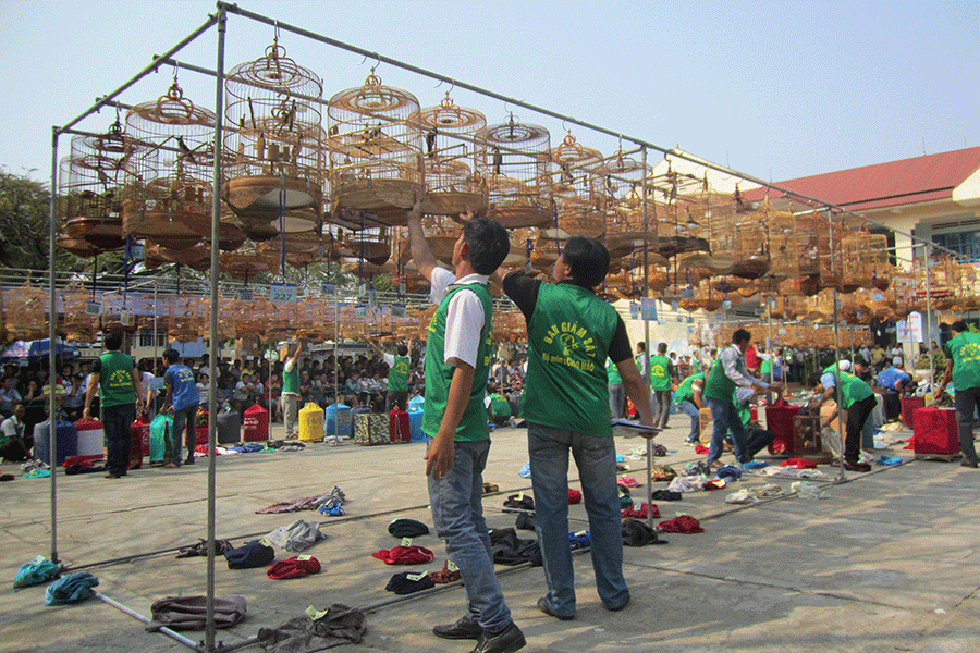 Quang cảnh hội thi. Ảnh: H.S