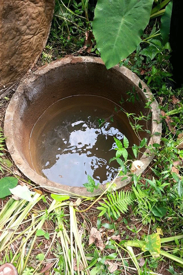 Giếng nước trong khu căn cứ Tỉnh ủy Quảng Nam. Ảnh: K.T