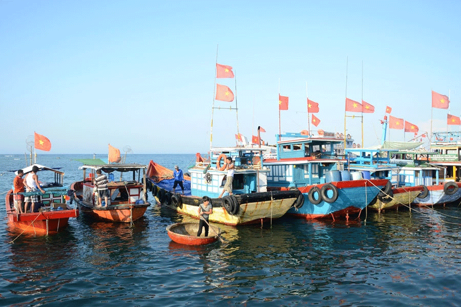 Những con tàu của ngư dân Lý Sơn đang chuẩn bị ra khơi. Ảnh: T.D Những con tàu của ngư dân Lý Sơn đang chuẩn bị ra khơi. Ảnh: T.D