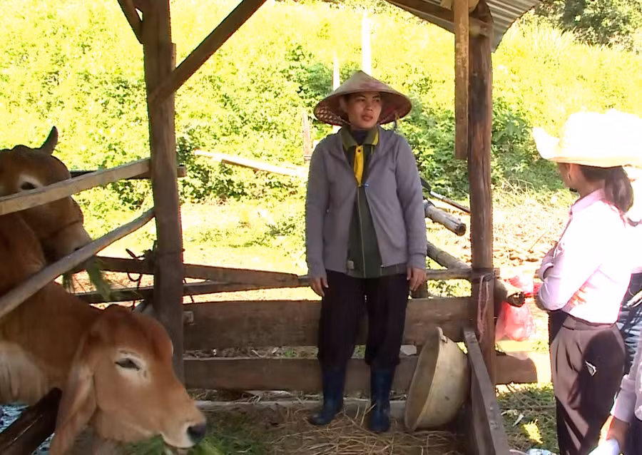 tin-dung-1.jpg