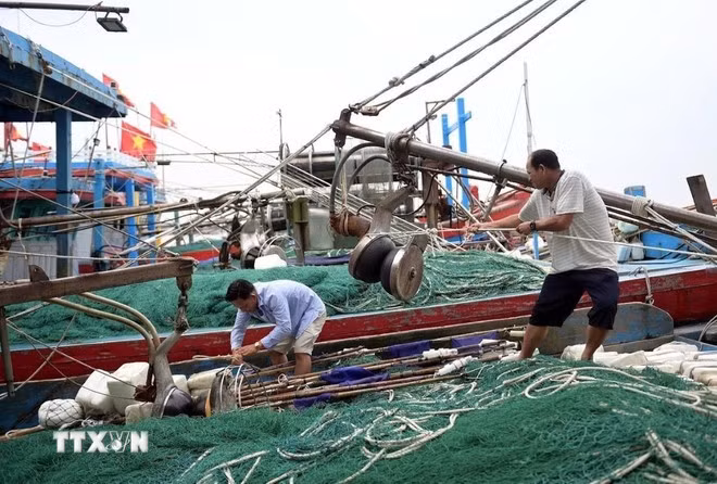 Ngư dân chằng buộc tàu, thuyền đảm bảo an toàn. (Ảnh: Thái Thuần/TTXVN)