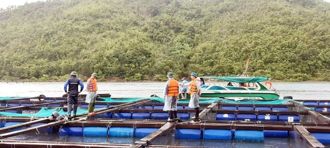 Lãnh đạo xã Cái Chiên kiểm tra, vận động người dưới bè nuôi trồng thủy sản về nơi tránh trú an toàn. (Ảnh: Thanh Vân/TTXVN) Lãnh đạo xã Cái Chiên kiểm tra, vận động người dưới bè nuôi trồng thủy sản về nơi tránh trú an toàn. (Ảnh: Thanh Vân/TTXVN)