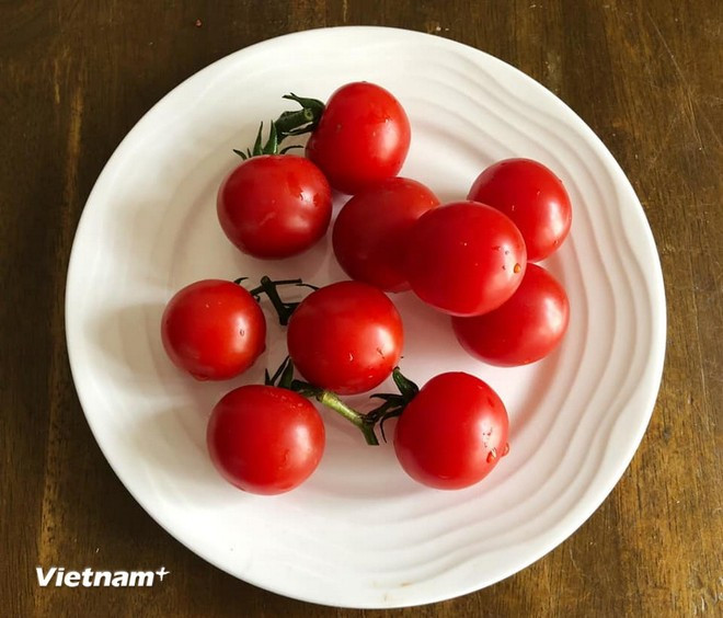 Cà chua. (Ảnh: Vietnam+) Cà chua. (Ảnh: Vietnam+)