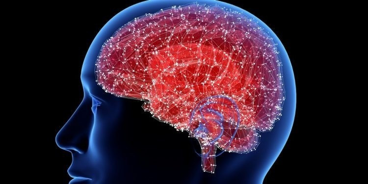 Ảnh minh họa. (Nguồn: israelhayom.com) alzheimer.jpg