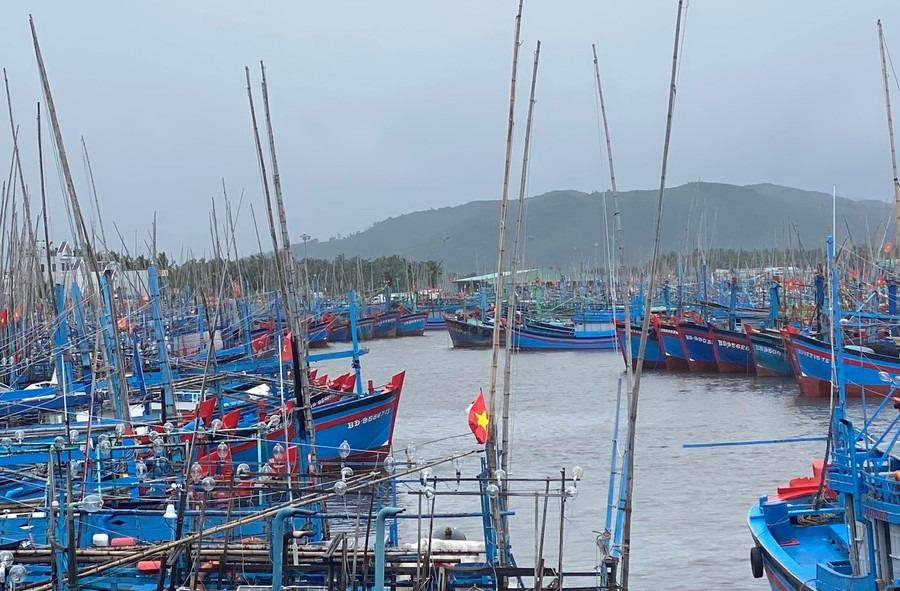 Ngư dân phường Hoài Nhơn Đông mạnh dạn đầu tư tàu công suất lớn, bám biển dài ngày để đánh bắt thủy sản. Ảnh: N.N ngu-dan-hoai-nhon.jpg