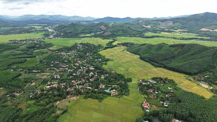 Ân Tường có đất đai và khí hậu thuận lợi để phát triển cây lúa nước, cây ăn quả có múi, trồng rừng gỗ lớn. Ảnh: Thanh Sáng an-tuong-co-dat-dai-va-khi-hau-thuan-loi-de-phat-trien-cay-lua-nuoc-cay-an-qua-co-mui-trong-rung-go-lon.jpg