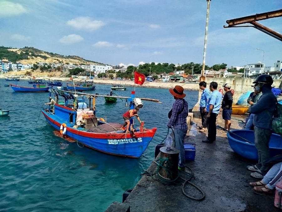 Các địa phương ven biển đang siết chặt công tác quản lý, kiên quyết xử lý nghiêm tàu cá vi phạm IUU. Ảnh: N.N bao-ve-thuy-san.jpg