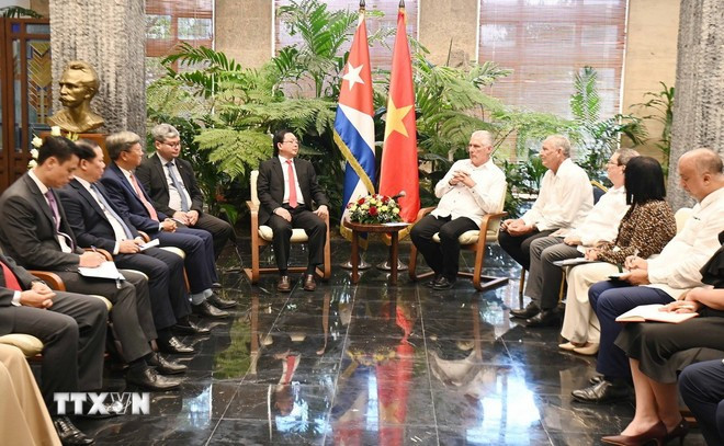 Phó Thủ tướng Hồ Quốc Dũng hội kiến Bí thư thứ nhất Ban Chấp hành Trung ương Đảng Cộng sản Cuba, Chủ tịch nước Miguel Díaz-Canel Bermúdez. Ảnh: Việt Hùng/TTXVN