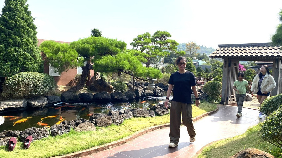 Vườn bonsai của ông Nguyễn Đức được thiết kế, bài trí theo phong cách Nhật Bản, thu hút khách thưởng lãm. Ảnh: Sơn Ca vuon-bonsai.jpg