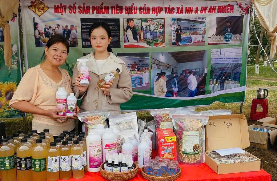 Hợp tác xã An Nhiên (xã Chư Krey) định hướng nâng cao, mở rộng thương hiệu thời gian tới. Ảnh: DNCC vai-tro-phu-nu.jpg