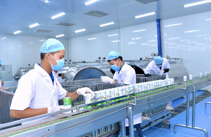 Dây chuyền sản xuất nước giải khát từ thảo dược của Công ty TNHH Phát triển Khoa học Quốc tế Trường Sinh (Khu Công nghiệp Trà Đa, phường Pleiku). Ảnh: Hà Duy kinh-te-tu-nhan.jpg