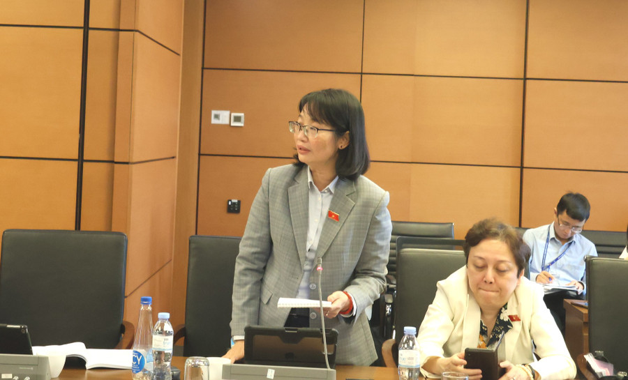 Đại biểu Trần Thị Diệu Thúy (TPHCM) phát biểu. Ảnh: Văn Duẩn Đại biểu Trần Thị Diệu Thúy (TPHCM) phát biểu. Ảnh: Văn Duẩn