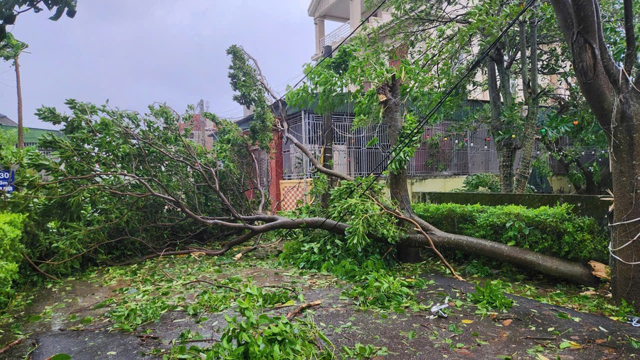 Cây xanh đổ gãy la liệt trên các tuyến đường ở Hà Tĩnh khi bão số 5 đổ bộ. Ảnh: PHẠM ĐỨC 10.jpg