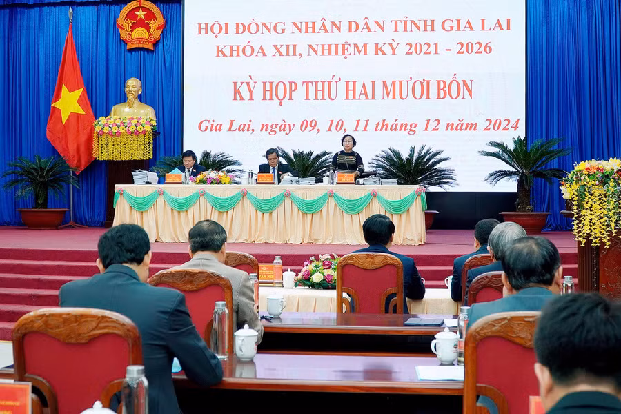 hoat-dong-cua-thuong-truc-hdnd-cac-ban-hdnd-tinh-dam-bao-ke-hoach-de-ra-trong-nam-2024.jpg