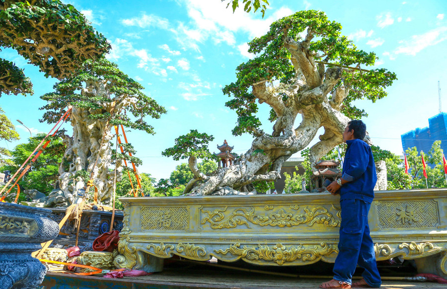 Tham gia Liên hoan triển lãm SVC tỉnh Gia Lai mở rộng lần thứ I-2025, nhiều tác phẩm SVC được trưng bày tại khu vực Quảng trường Quy Nhơn (ảnh chụp sáng 11-9). Ảnh: Ngọc Nhuận lien-hoan-trien-lam-sinh-vat-canh.jpg