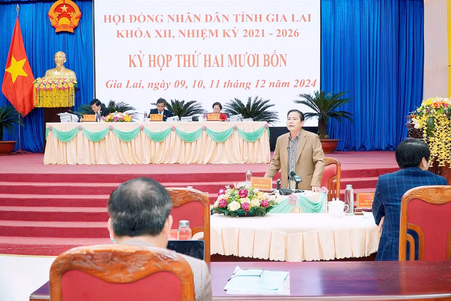 giam-doc-so-van-hoa-the-thao-va-du-lich-tran-ngoc-nhung-tra-loi-chat-van-cac-dai-bieu-anh-dt.jpg