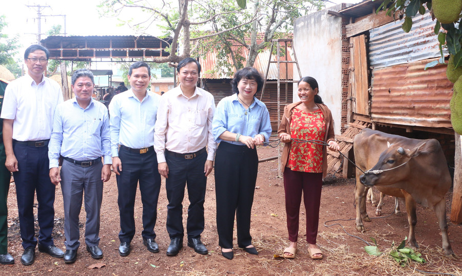 ផ្តល់គោចិញ្ចឹមដល់គ្រួសារក្រីក្រ Rah Lan Kinh (ភូមិ Luh Rung) ។ រូបថត៖ Quang Tan trao-bo-sinh-san-cho-ho-ngheo-rah-lan-kinh-thon-luh-rung-anh-quang-tan.jpg