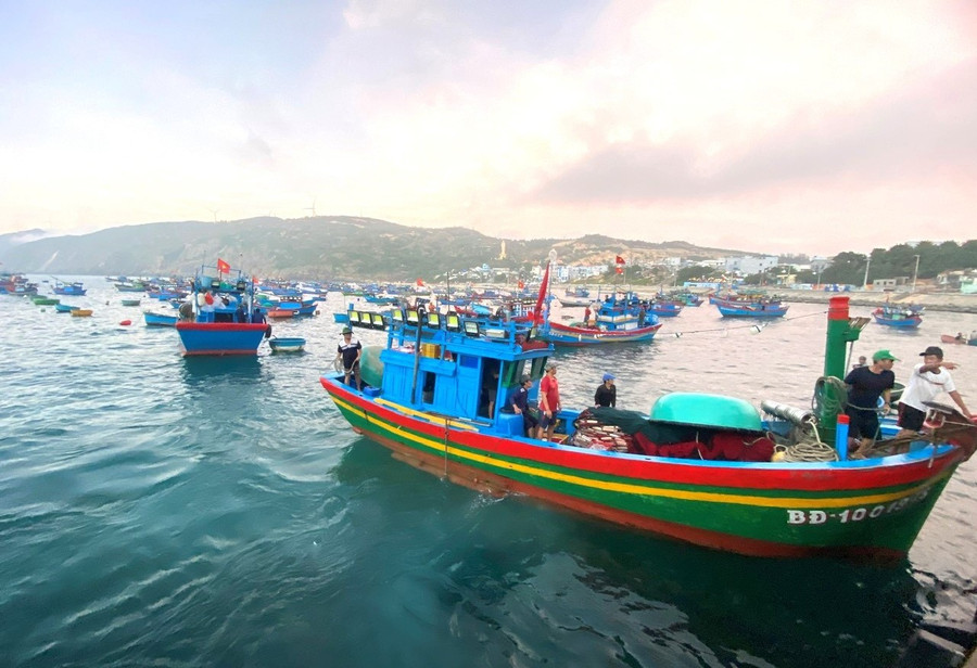 Sở Nông nghiệp và Môi trường sẽ tăng cường tuyên truyền và xử lý nghiêm những hành vi vi phạm quy định chống khai thác IUU. Ảnh: N.N 1.jpg