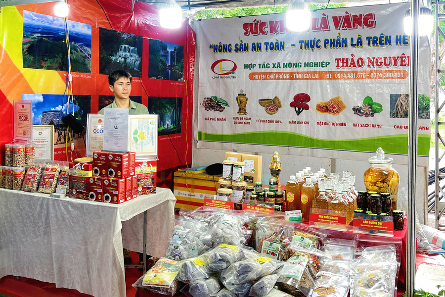 Đại diện HTX Nông nghiệp Thảo Nguyên giới thiệu các mặt hàng tại Hội chợ Liên minh HTX năm 2025 tại phường Quy Nhơn. Ảnh: HẢI YẾN 61.jpg