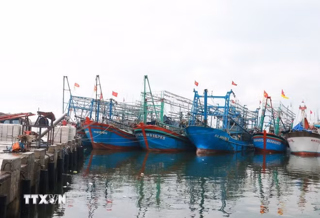 Tàu cá neo đậu tránh bão. (Ảnh minh họa. Nguồn: TTXVN)