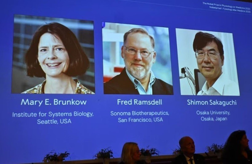 Chân dung các nhà khoa học đoạt giải Nobel Y sinh năm 2025 (từ trái sang): Mary E Brunkow, Fred Ramsdell và Shimon Sakaguchi. (Ảnh: REUTERS/TTXVN) chua-tri-ung-thu.jpg