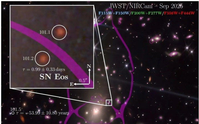 Siêu tân tinh Eos (SN Eos) từ vũ trụ sơ khai được thấu kính hấp dẫn nhân bản và phóng to trong dữ liệu từ kính viễn vọng. Ảnh: NASA/ESA/CSA