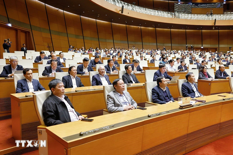 Đại biểu dự phiên họp. Ảnh: Doãn Tấn/TTXVN